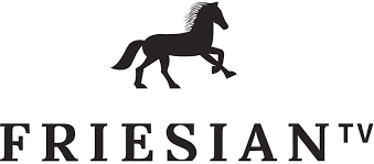 Frisian TV